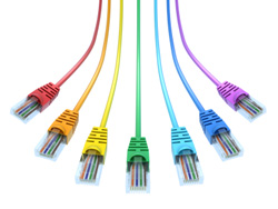 Voice and Data Cabling